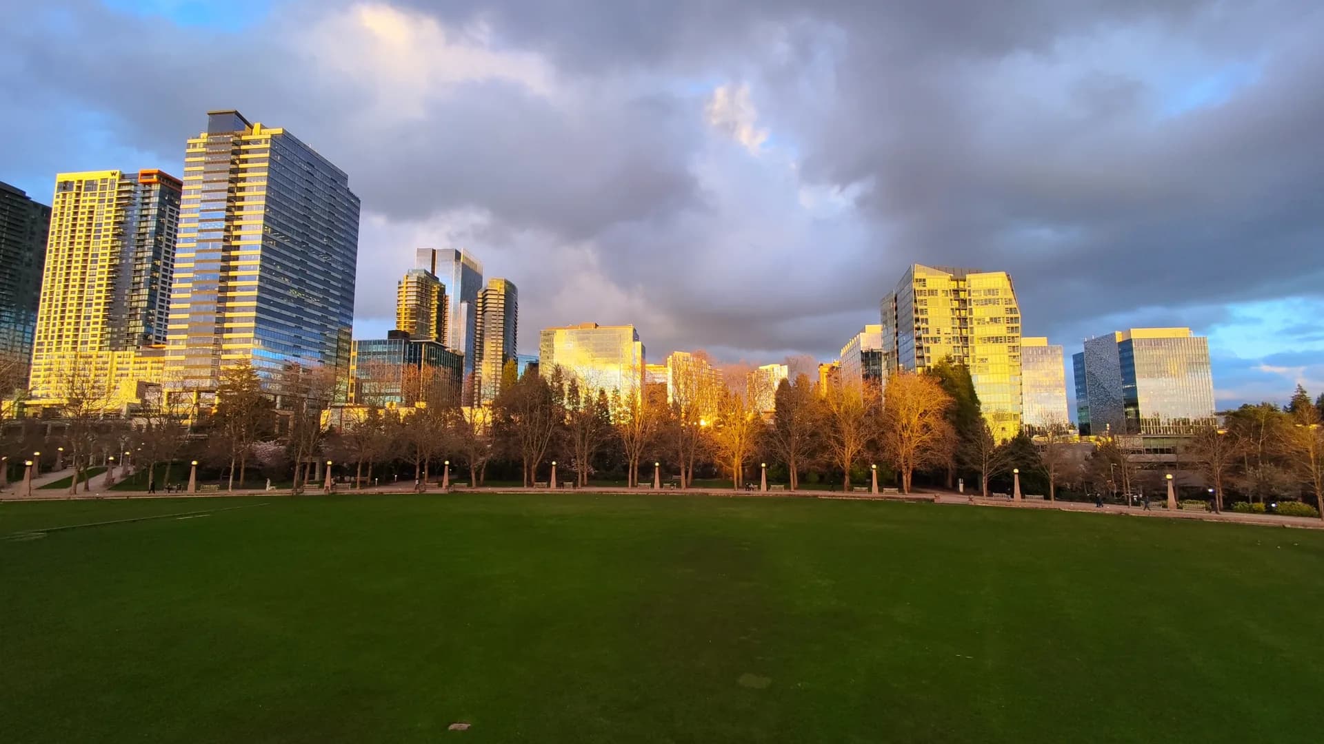City buildings lit by evening sun